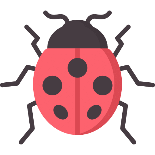 ladybug Maxkinon