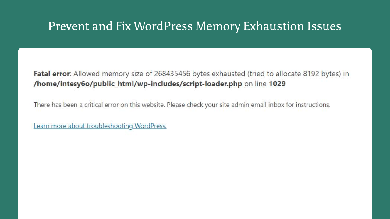 Troubleshoot WordPress Memory Exhausted Error in 5 Easy Steps
